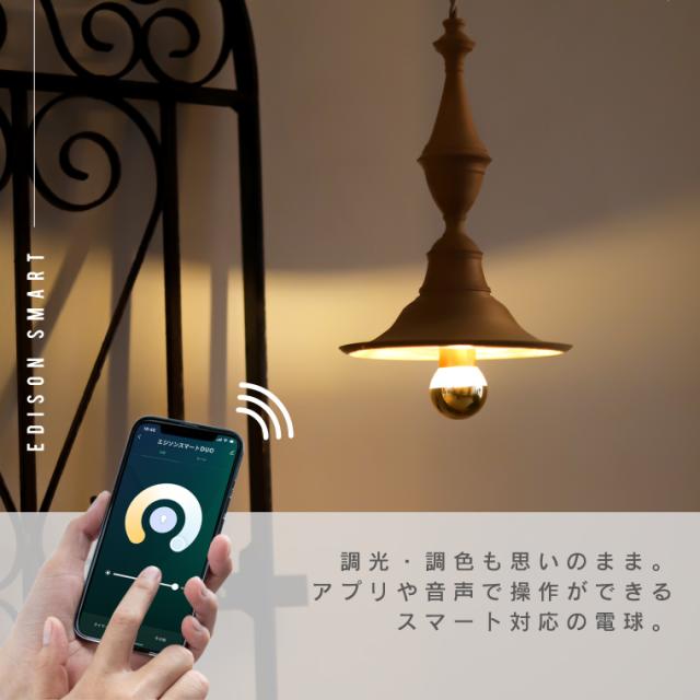単品】エジソンバルブLEDスマート DUO E26/E17 ハーフミラー ゴールド