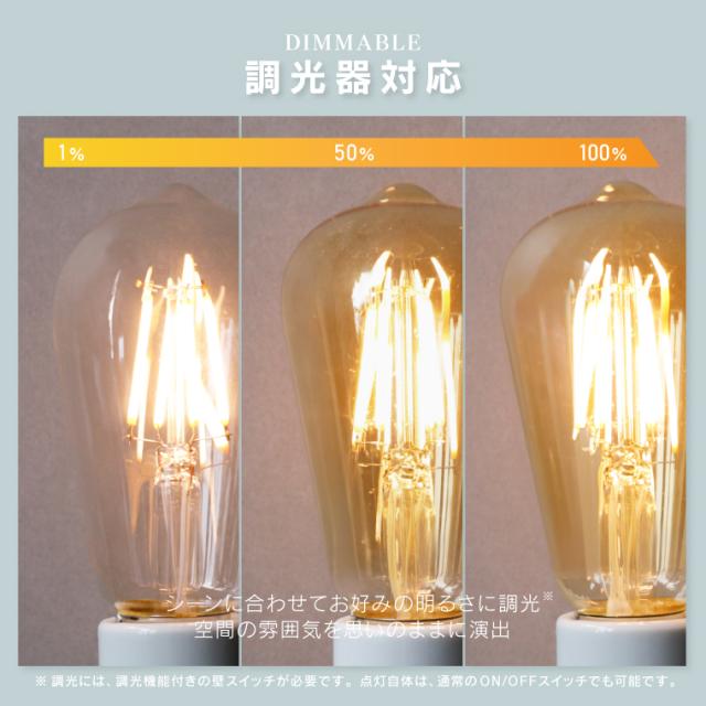 電球 フィラメント led フィラメントLED電球 Siphon オリジナル LDF29D