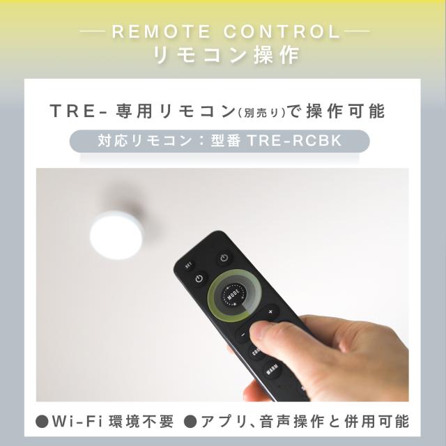 2個セット］TREO ミニシーリングライト エジソンスマート LED一体型