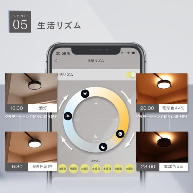 エジソンスマート デュアル シーリングライト LED 調光調色 リモコン