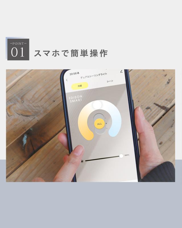エジソンスマート デュアル シーリングライト LED 調光調色 リモコン