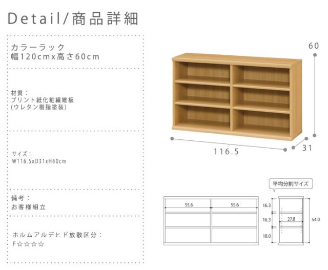 COLOR RACK 国産カラーラック 幅120cmx高さ60cm　(オープン ディスプレイ シェルフ フリー シンプル ホワイト ブラウン ダーク 多サイズ の通販は