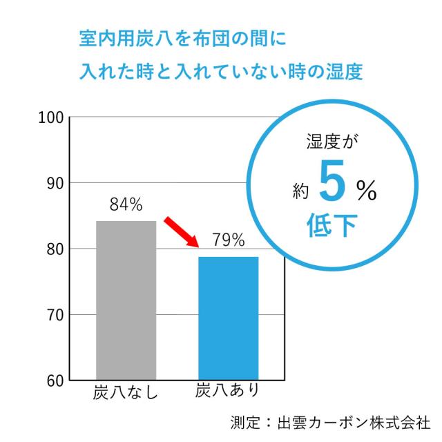 【6袋セット】出雲屋炭八 室内用炭八 12L×6袋 不織布2重包装 すみはち 調湿木炭 結露 繰り返し使える 炭 出雲屋 調湿 消臭 除湿剤 乾燥材 リビング ベッド下 ハウスキーピング ダニ 湿気対策 除湿 湿気取り 半永久的 吸湿 放湿