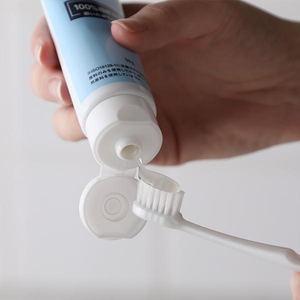 パックスナチュロン ジェルはみがき 90g 太陽油脂 歯磨き粉 ハミガキ 研磨剤フリー 発泡剤不使用 電動歯ブラシ 爽やか 口臭 ニオイ 虫の通販はau Pay マーケット サンテラボ