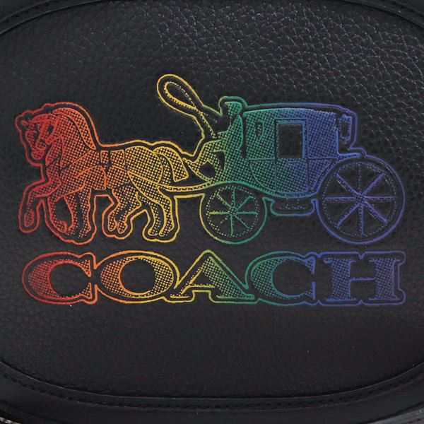 【早い者勝ち♪】COACHコーチ ショルダーバッグ レディース C6803