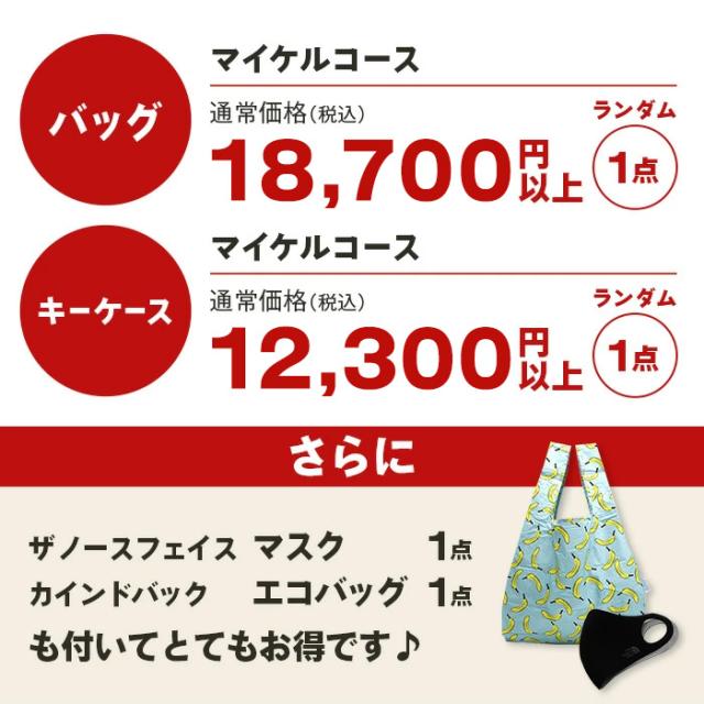 新春福袋 マイケルコース 福袋 バッグ キーケース 4点セット MICHAEL 
