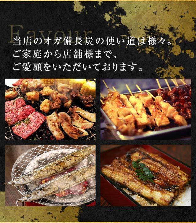 オガ炭 国産 10kg 炭職人【yama】オガ備長炭 長時間燃焼 高火力 白炭 