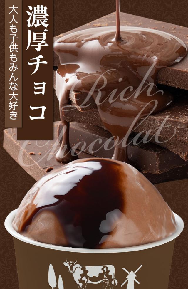 訳あり アイス アイスクリーム 北海道生乳100%使用 プレミアムアイス