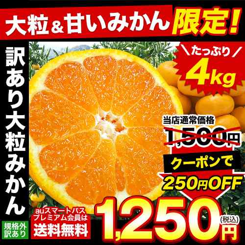 みかん 大粒 訳あり 4kg 熊本県産 2営業日以内出荷 土日祝除 訳あり ミカン みかん箱 果物 3l 2lサイズ以上 蜜柑の通販はau Pay マーケット くまもと風土