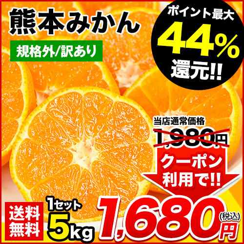 2セット購入で1 000円offクーポン使える みかん 5kg 熊本県産 12月中旬 12月末頃出荷 訳あり 送料無料 ミカン みかん箱 果物 の通販はau Pay マーケット くまもと風土