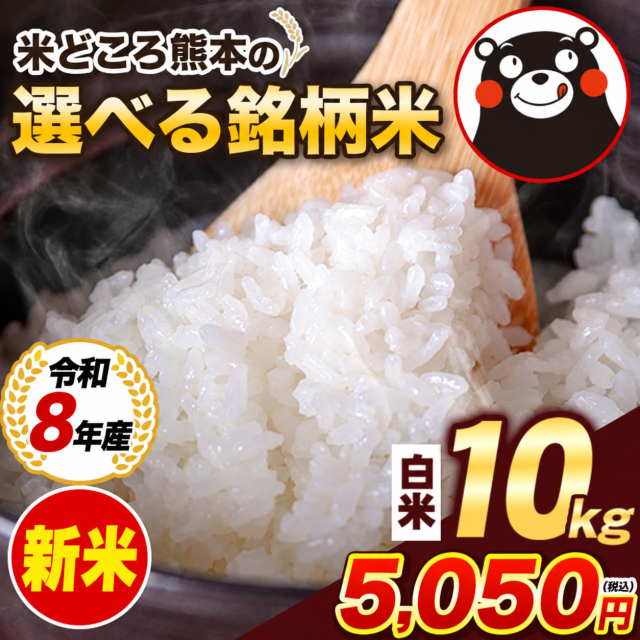 米 お米 10kg 送料無料 新米 白米 令和8年産 熊本県産 銘柄米