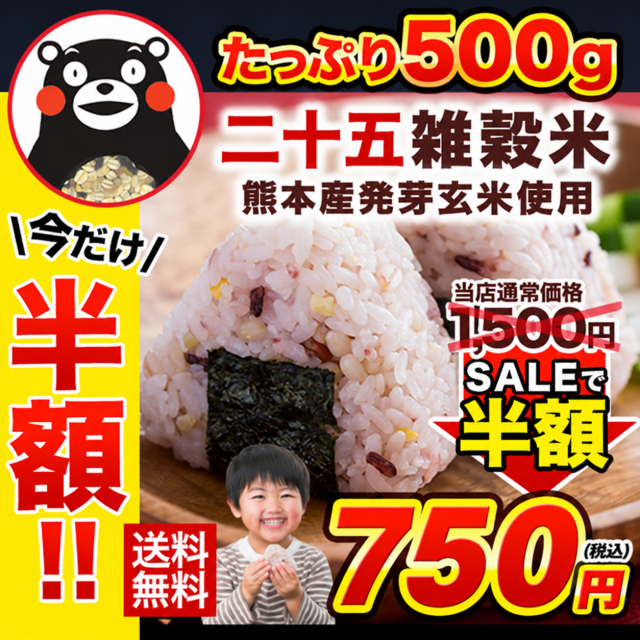 国産 二十五 雑穀 雑穀米 500g 送料無料 国産 二十五雑穀米 米 もち麦