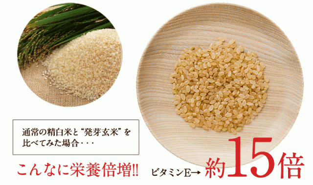 2セットで半額!!】 雑穀米 送料無料 国産 雑穀 米 お米 お試し