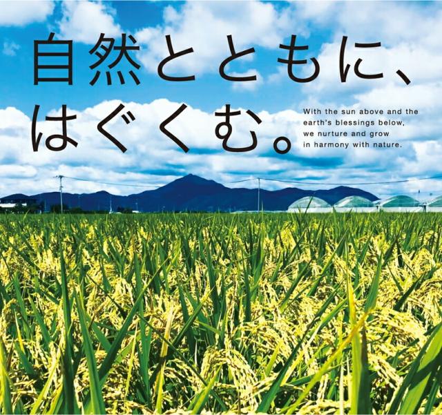 米 10kg 【安心・安全の熊本県産】 太陽のおともだち 農家もとよしのあきまさり お米 令和7年産 送料無料 単一原料米 単一米 米 熊本県産 あきまさり コメ 精米 白米 弁当 ノウフクJAS 《7-14営業日以内に発送予定（土日祝日を除く）》