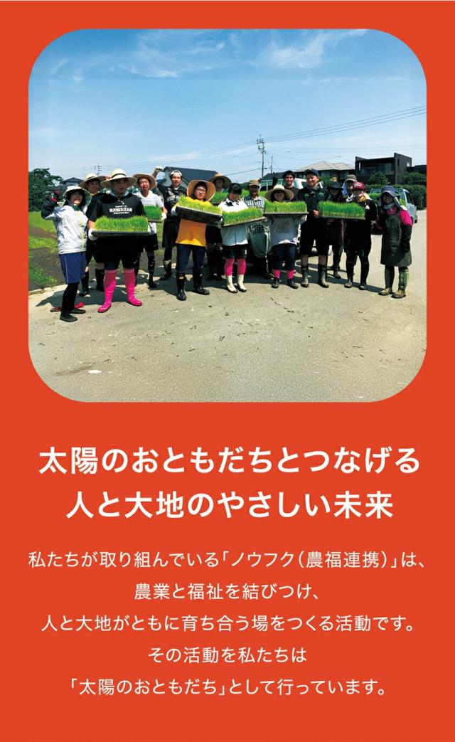 米 10kg 【安心・安全の熊本県産】 太陽のおともだち 農家もとよしのあきまさり お米 令和7年産 送料無料 単一原料米 単一米 米 熊本県産 あきまさり コメ 精米 白米 弁当 ノウフクJAS 《7-14営業日以内に発送予定（土日祝日を除く）》