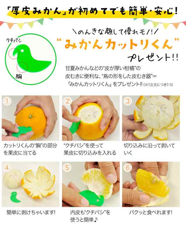 甘夏 みかん 訳あり 1.5kg 送料無料 熊本県産 名産地 旬のみかん 甘夏 みかん 訳あり 1.5kg 送料無料 熊本県産 名産地 旬のみかん