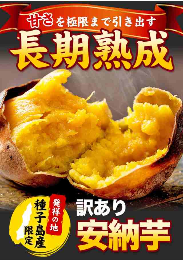 ご当地風土　au　PAY　マーケット　さつまいも　1.5kg　種子島産　訳あり　サイズ不揃い　スイーツ　安納芋　《1-5営業以内発送予定(土日祝除く)の通販はau　送料無料　2セットで1kgおまけ増量　PAY　マーケット－通販サイト