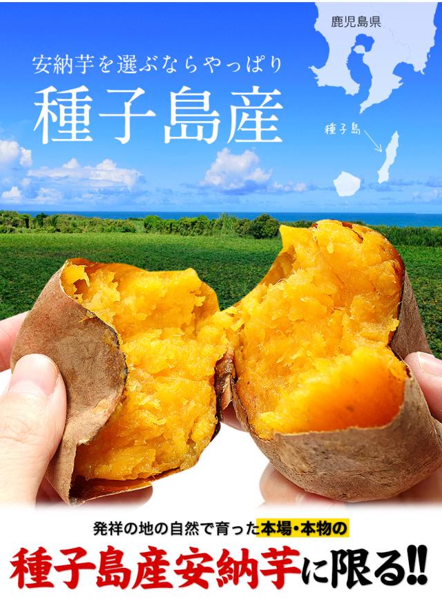 安納べに　500 おまけ有り 安納べに500 おまけ有り