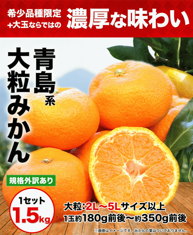 みかん 訳あり 大粒 1 5kg 熊本 ミカン 青島系みかん 1月中旬 2月上旬頃順次出荷予定 温州 家庭用 果物 柑橘 九州 フルーツ 産地直送 箱 の通販はau Pay マーケット くまもと風土