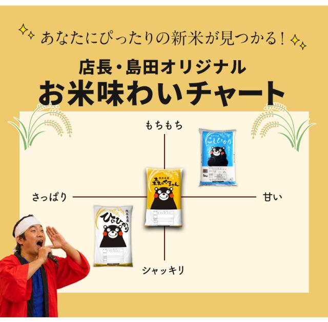 米 お米 10kg 送料無料 新米 白米 令和8年産 熊本県産 銘柄米