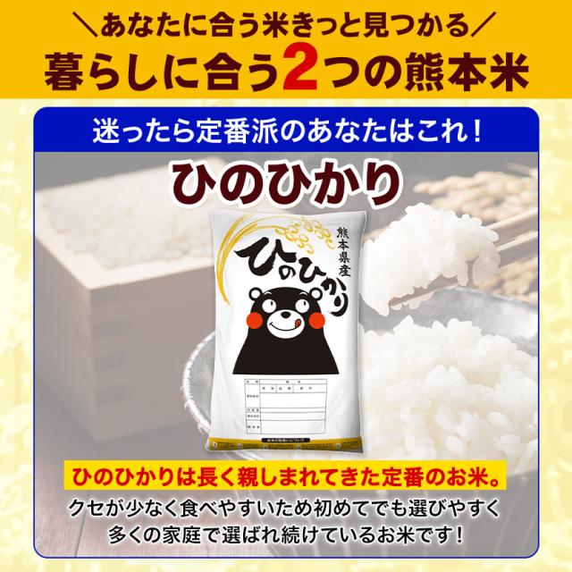 速攻出荷 米 お米 無洗米 10kg 令和7年 産 熊本県産 ブランド米 銘柄米