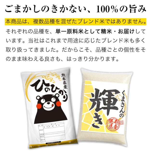 速攻出荷 米 お米 無洗米 10kg 令和7年 産 熊本県産 ブランド米 銘柄米