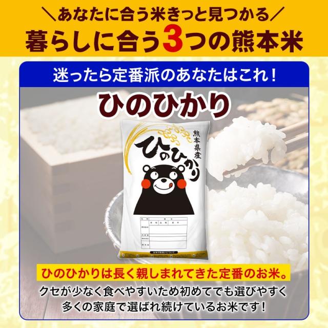 速攻出荷 米 お米 5kg 令和7年 産 熊本県産 三大ブランド米 銘柄米 