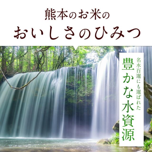 速攻出荷 米 お米 無洗米 10kg 令和7年 産 熊本県産 三大ブランド米 銘柄米 選べる 5kg × 2 ひのひかり 森のくまさん くまさんの輝き ヒノヒカリ 送料無料 単一原料米 ひのひかり コメ 精米 2025年 備蓄米 ではありません《1-3営業日以内に発送予定(土日祝日除く)》_8