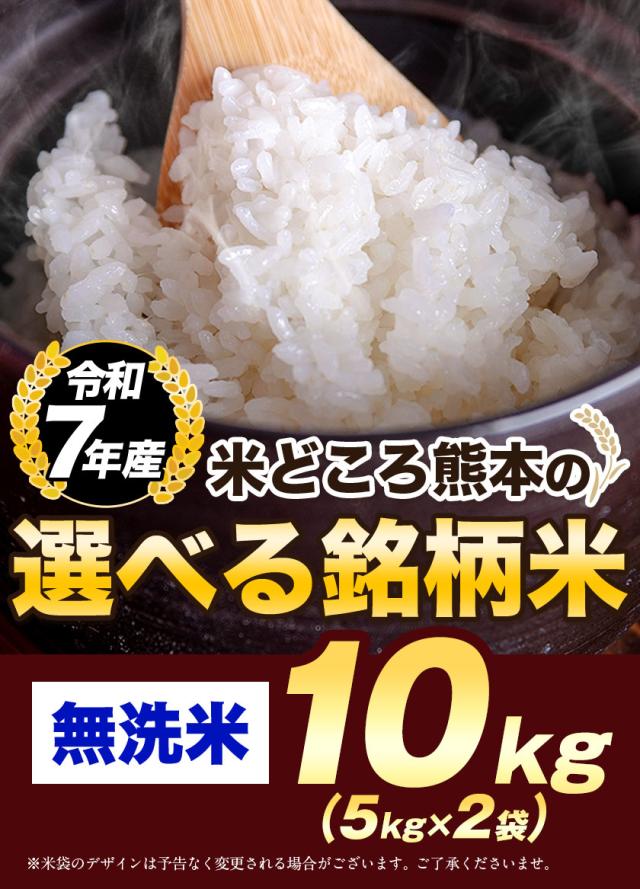 速攻出荷 米 お米 無洗米 10kg 令和7年 産 熊本県産 ブランド米 銘柄米