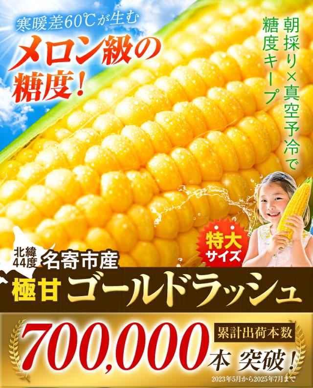 コーン粒さま専用ページ ゴールドラッシュ 名寄市 6本入り 350〜400g サイズ 朝採り フルーツ