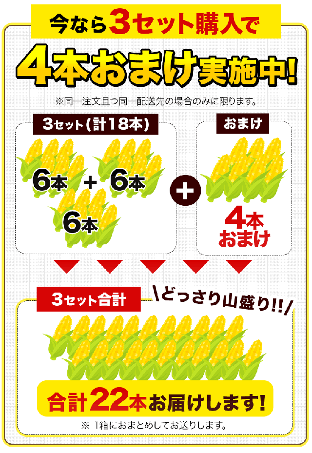 ゴールドラッシュ 名寄市 6本入り 350〜400g サイズ 朝採り フルーツ