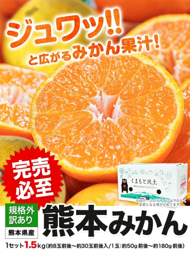 みかん　複数購入品 お歳暮 みかん 温州みかん 産地厳選 風のいたずら ちょっと訳あり 大き