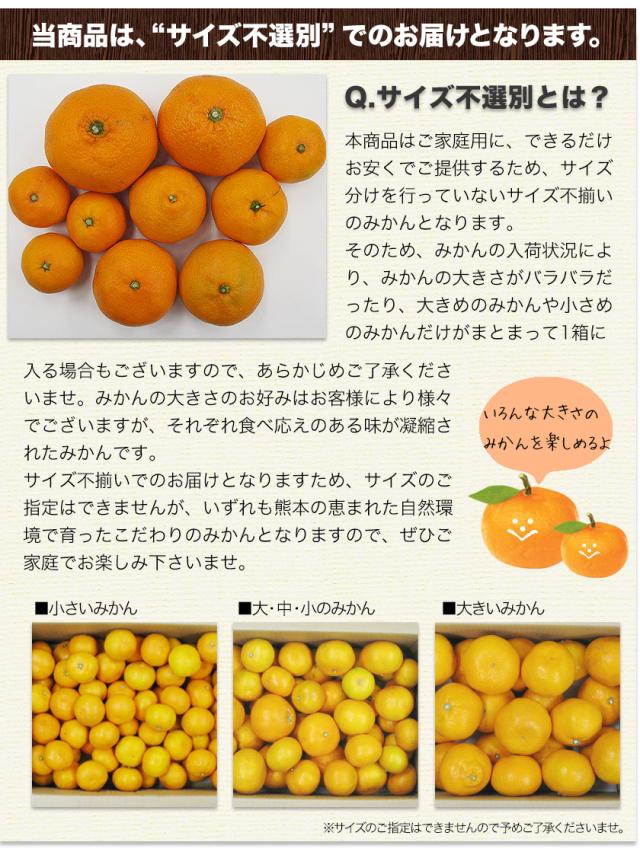 最安挑戦】 みかん 訳あり 送料無料 熊本ミカン 1.5kg 大玉 小玉 不