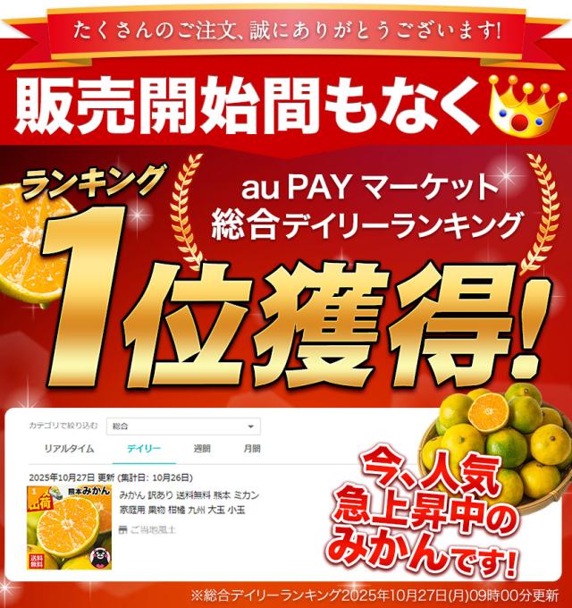 2セット買うと+1セットおまけ！ 【最安挑戦】 みかん 訳あり