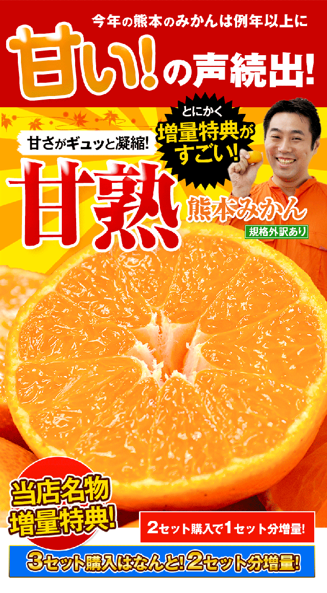 みかん 1.2kg 熊本県産 訳あり 送料無料 甘熟みかん サイズ不選別 ご