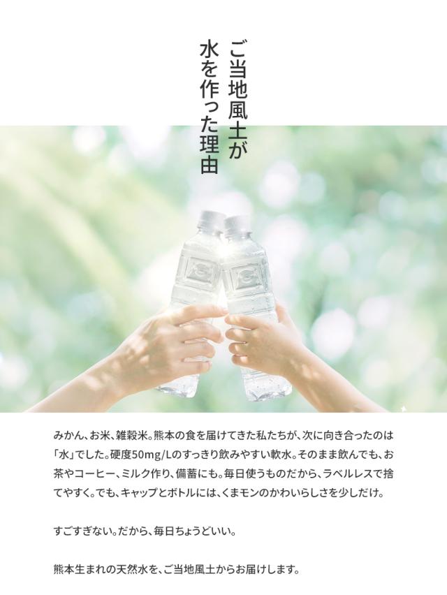 水 500ml 非常用 保存水 大容量 45本 熊本 純 イオン 天然水 ラベル