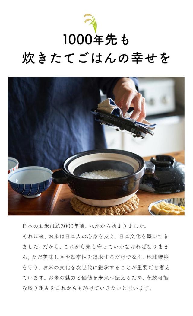 米 お米 10kg 送料無料 国産 ふるさと無洗米 無洗米 雑穀米 国内産
