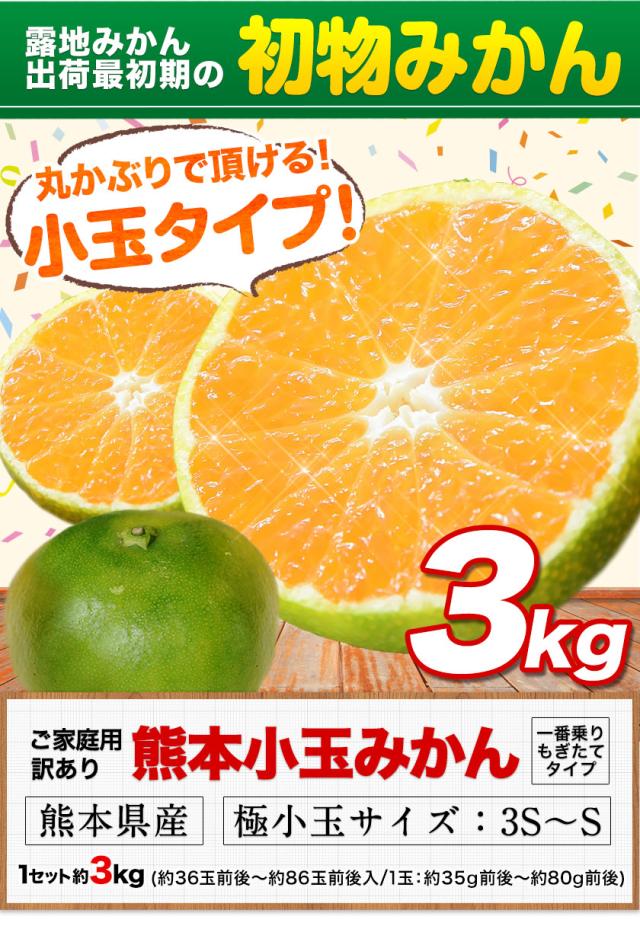 みかん様】ご予約 みかん様】ご予約