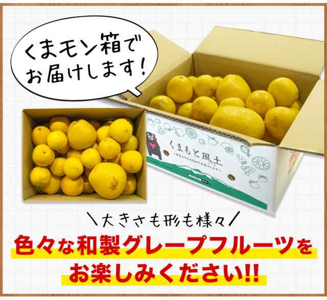 速攻出荷】 河内晩柑 送料無料 8kg 和製 グレープフルーツ みかん 訳