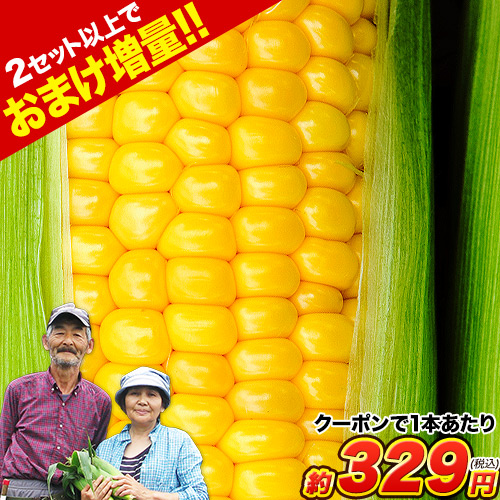 7/7発送　愛知産とうもろこし、スイートコーン　24本セット 楽天市場】【送料無料】 丸成商事 スイートコーン 真空パック