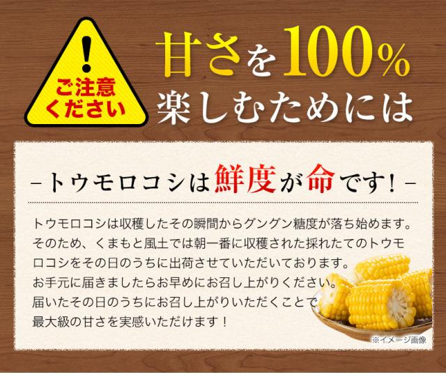 とうもろこし すごあまこーん 7本入 (3L~L サイズ) 卯野農場 朝