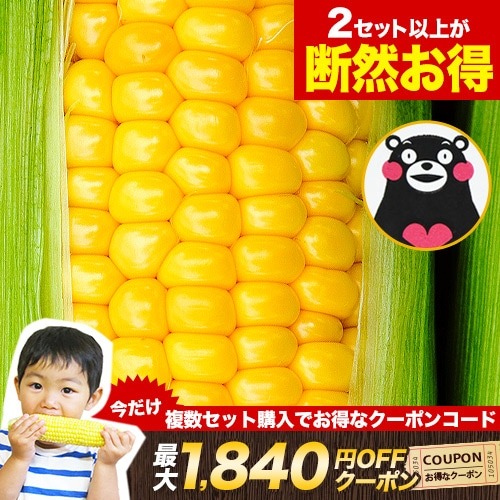 御当地加トちゃん　33個 とうもろこし すごあまこーん 7本入 (3L~L サイズ) 卯野農場 朝
