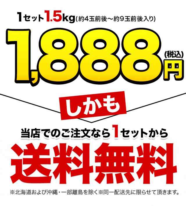 河内晩柑 送料無料 1.5kg 和製 グレープフルーツ みかん 訳あり 夏文旦 晩柑 《7-14営業日以内に発送予》 旬 の フルーの通販はau  PAY マーケット ご当地風土 au PAY マーケット－通販サイト