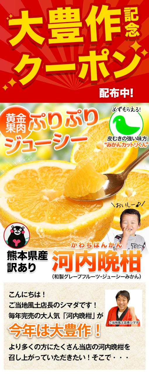 最安値に挑戦 河内晩柑 8kg 送料無料 和製 グレープフルーツ フルーツ
