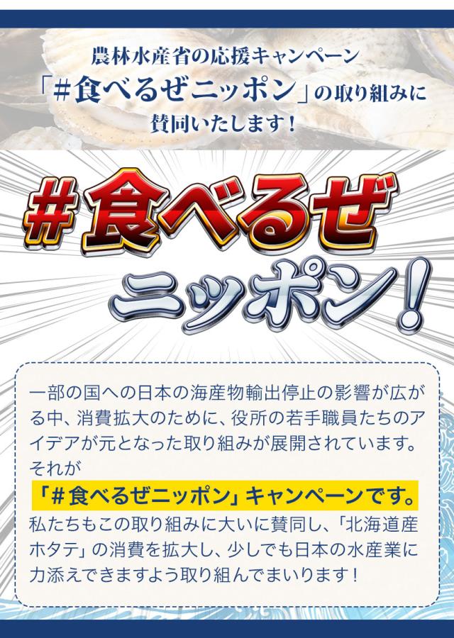 SALE】 訳あり 割れ かけ サイズ不揃い 北海道産 生ホタテ 貝柱
