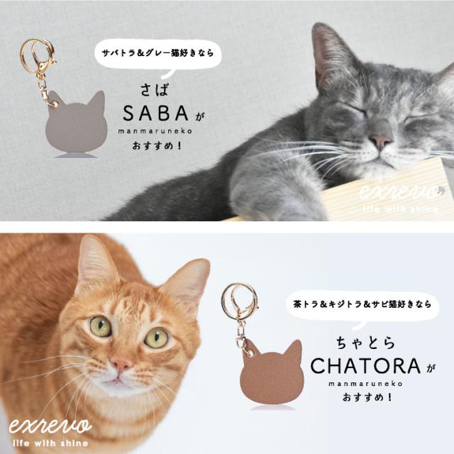 ぐでねこチャンチャームサバトラ