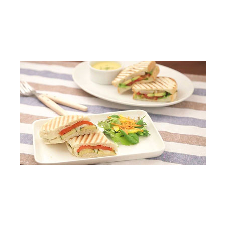 サンテック パニーニクッカー PC-10(1連式)（送料無料、代引不可）