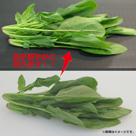 ハイコントラストまな板 K5 10mm ハイコントラストまな板 K5 10mm 1-0374-0110 \u2013 業務用食器の食器プロ