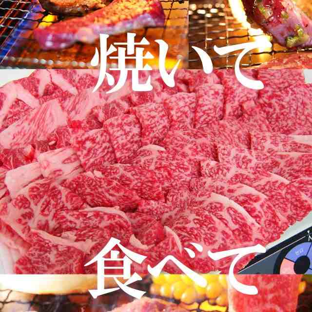 ギガ盛 送料無料 飛騨牛 カルビ 焼肉  1.5kg 500gx3 メガ 黒毛和牛 ブランド牛 牛肉 食材 材料 セット 大人数 肉 バーベキュー BBQ おもてなし 焼き肉 国産 おうち焼肉 かるび bbq メガ盛 の通販は