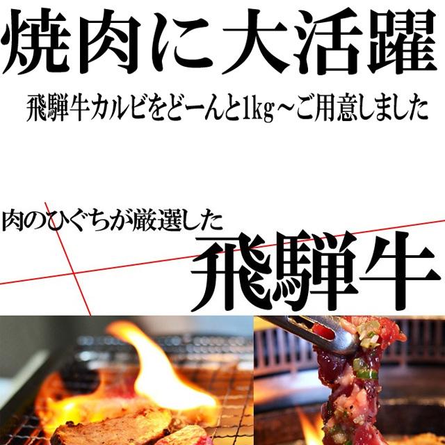 バーベキュー 飛騨牛 牛 牛肉 カルビ 焼肉用 テラ盛り 2kg 500ｇ×4 黒毛和牛 ブランド牛 食材 材料 セット 大人数 肉 黒毛黒毛和牛 バーベキュー BBQ bbq おもてなし 国産 メガ 焼肉 かるび おうち焼き肉 送料無料_2